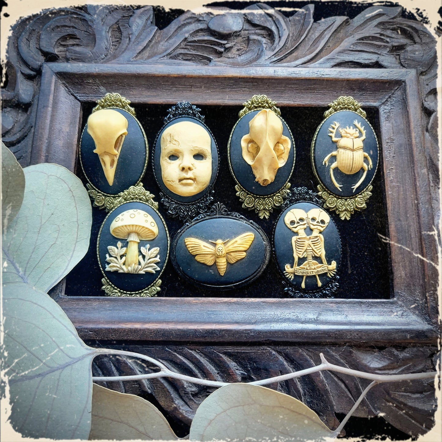 Moth Brooch Pin